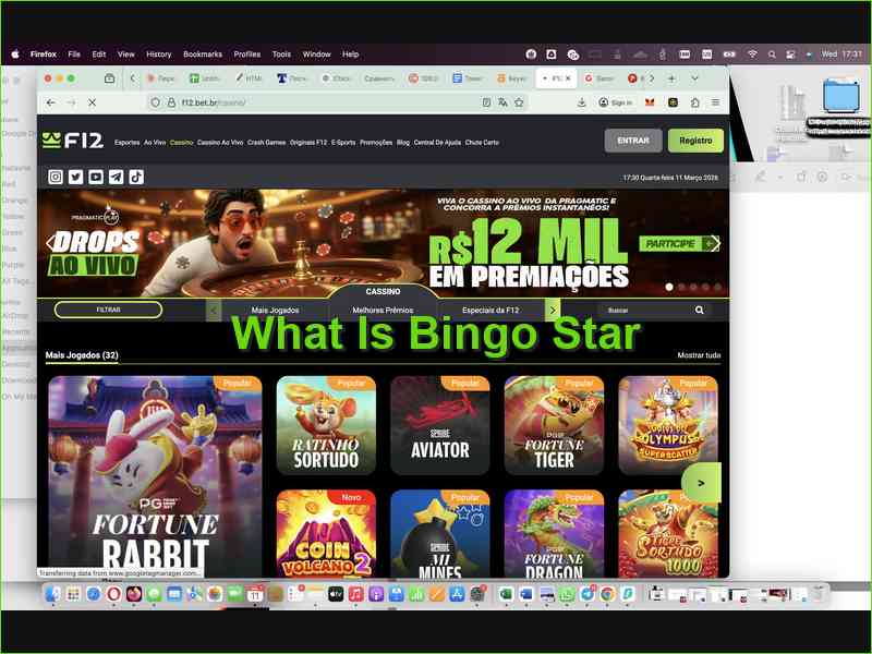 Description and How to Play Bingo Star