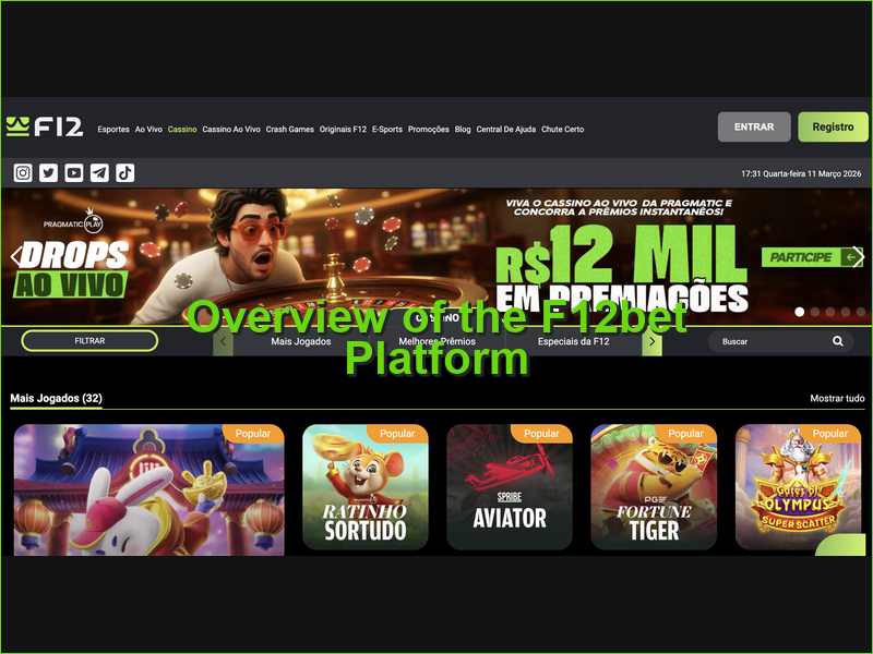 Structure and Features of the F12bet Portal