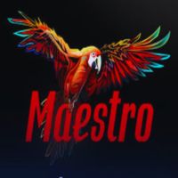 Maestro