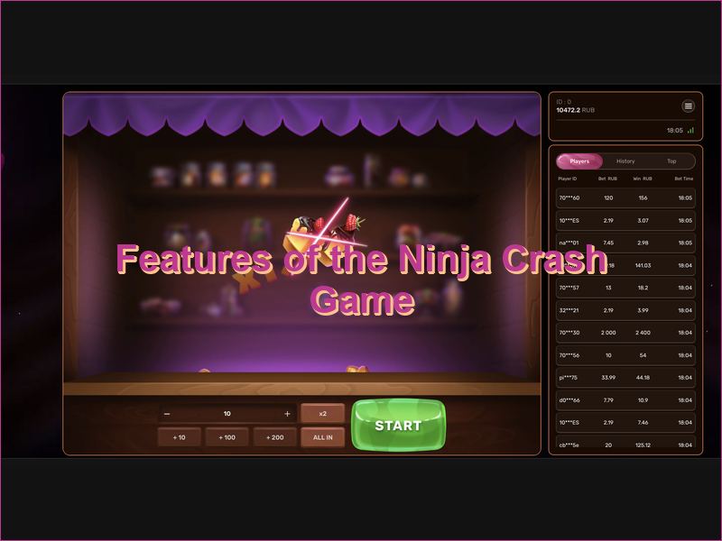 Unique features and characteristics of the game Ninja Crash