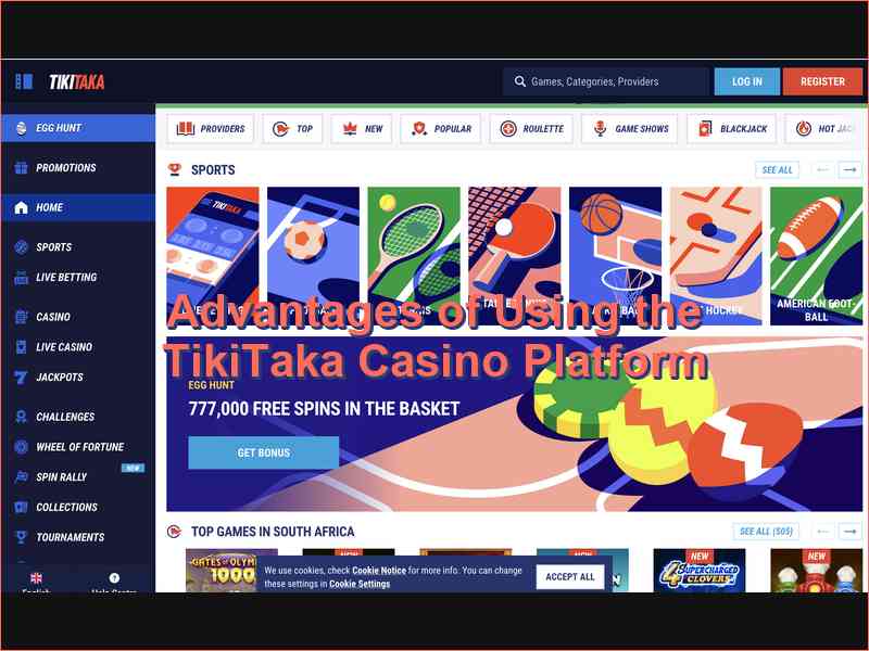 Key Benefits and Terms of Service for TikiTaka